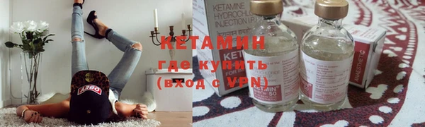 индика Арсеньев