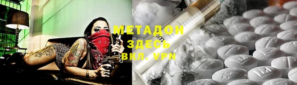 индика Арсеньев
