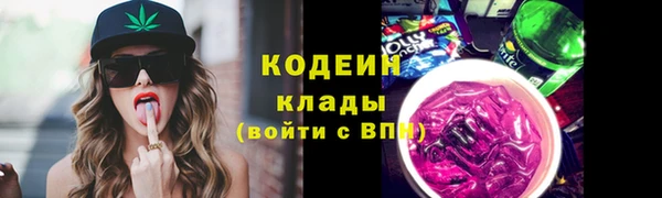 индика Арсеньев
