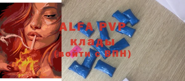 индика Арсеньев