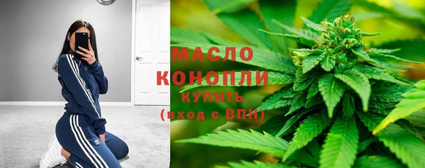 индика Арсеньев