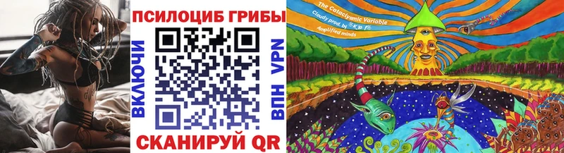 Псилоцибиновые грибы Cubensis  где найти наркотики  мориарти наркотические препараты  Снежногорск 